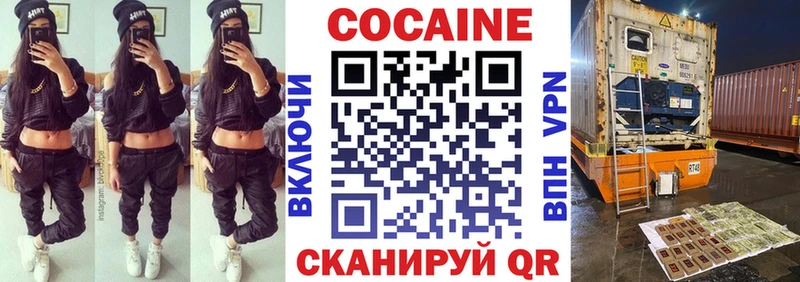 Купить  Ярцево  COCAIN Fish Scale 