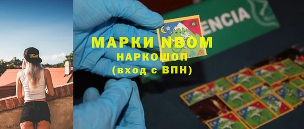 спайс Ельня
