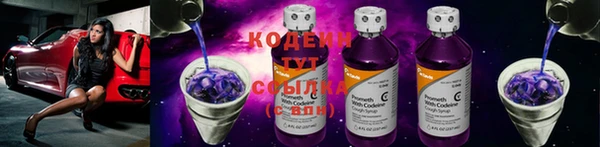 крисы Елизово