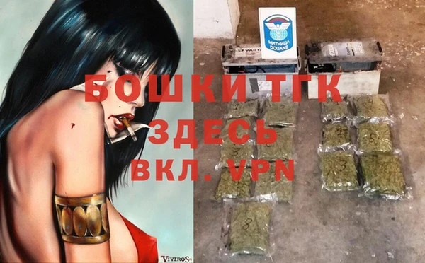 спайс Ельня