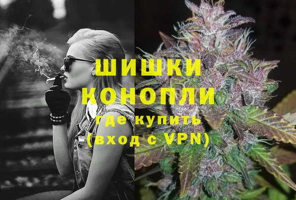 спайс Ельня