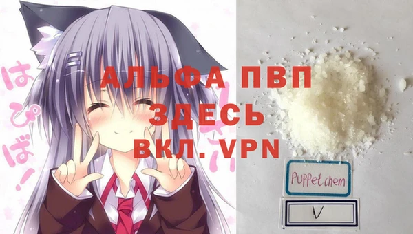 крисы Елизово