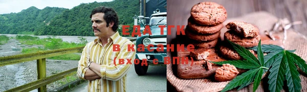 спайс Ельня