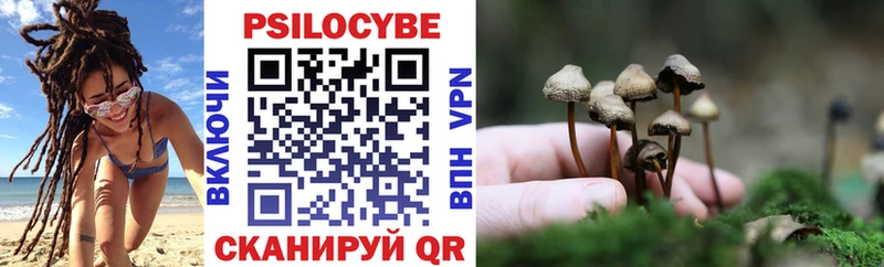 Купить где  Ярцево  Галлюциногенные грибы GOLDEN TEACHER 